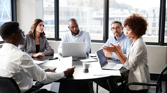 Sustainability Leadership Model